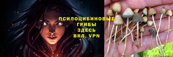 МДПВ Медногорск