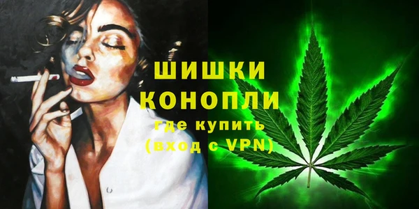 МДПВ Медногорск