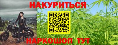 стаф Донецк