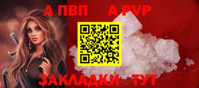 стаф Донецк
