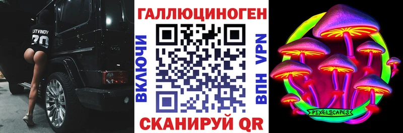 цены   Клинцы  Псилоцибиновые грибы Psilocybe 