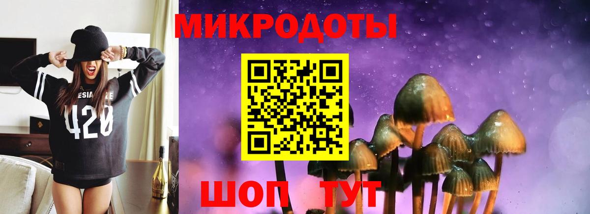 купить наркоту  Псилоцибиновые грибы ЛСД  Вход с VPN  Клинцы 